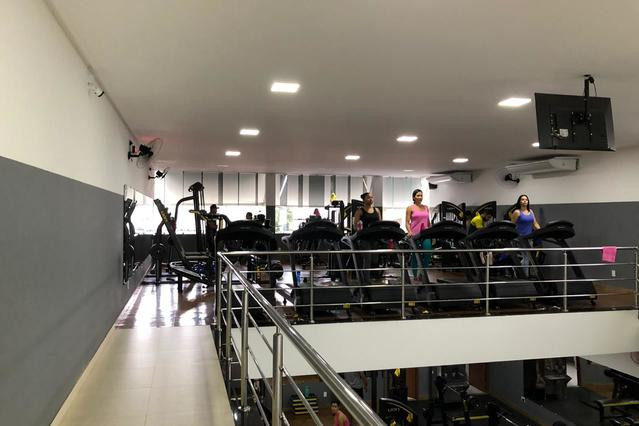Lion Gym
