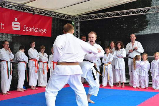 Bild 2 von Karate Club Sennestadt Partnergalerie