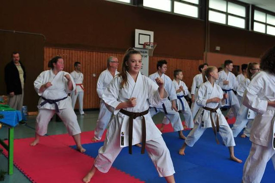 Bild 3 von Karate Club Sennestadt Partnergalerie