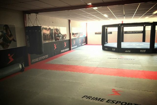 Imagem 1 da galeria do parceiro Elitte Academia - II