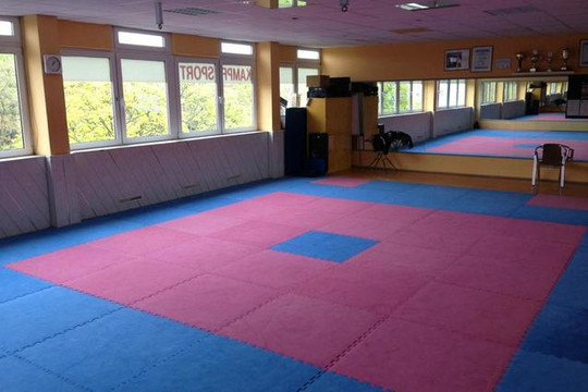 Bild 2 von Selfdefense & Survivalclub Berlin Partnergalerie