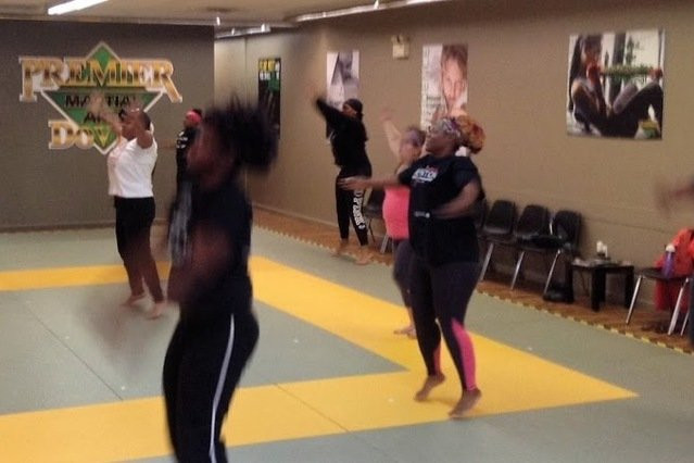 Premier Martial Arts Dover