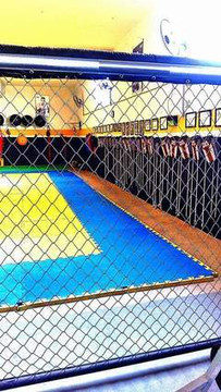 Imagem 2 da galeria do parceiro Ox Gym