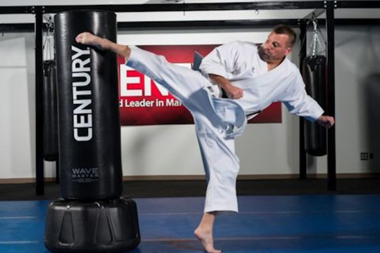 Image 1 from Franz Karate partner gallery