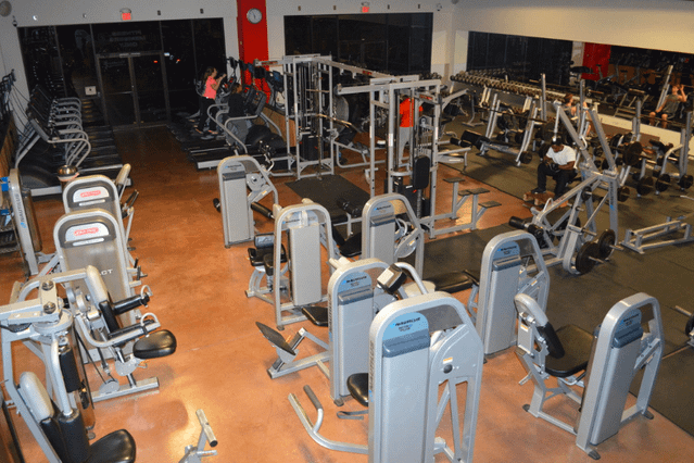 Total Body Fitness