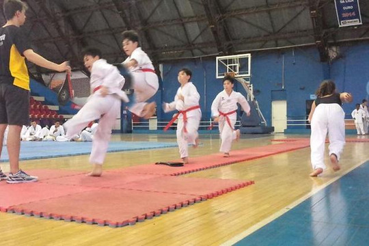 Imagem 1 da galeria do parceiro Pro Team Taekwondo