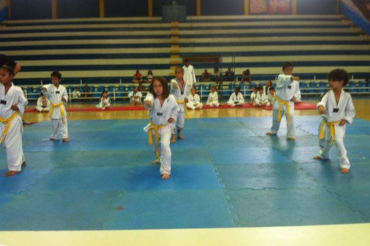 Imagem 3 da galeria do parceiro Pro Team Taekwondo