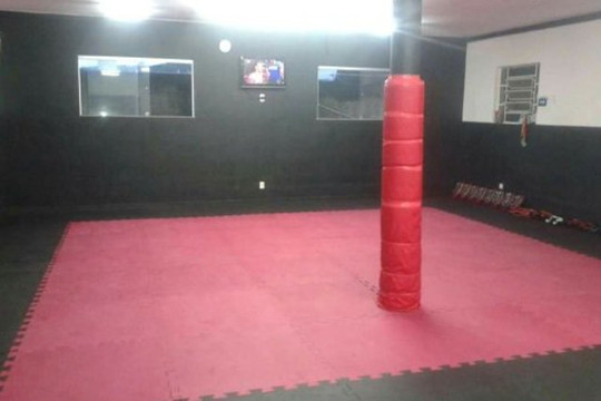 Imagem 1 da galeria do parceiro Academia de Lutas Uniião