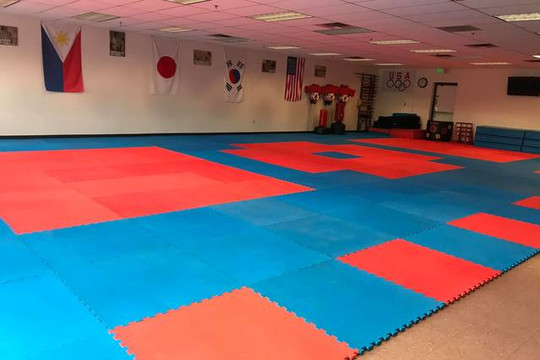 Image 1 from World Class Martial Arts partner gallery