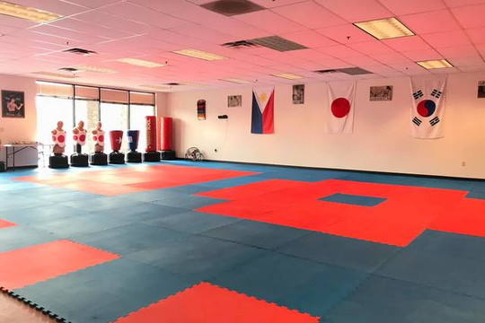 Image 2 from World Class Martial Arts partner gallery