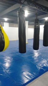 Imagem 2 da galeria do parceiro Team Blasius