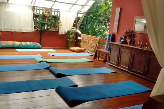 Imagem 1 da galeria do parceiro Yoga Harmonia