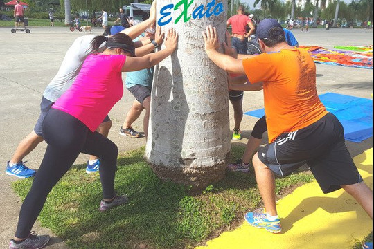 Imagem 3 da galeria do parceiro Treino Exato - PQ Ibirapuera