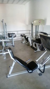 Imagem 3 da galeria do parceiro Academia Dragons