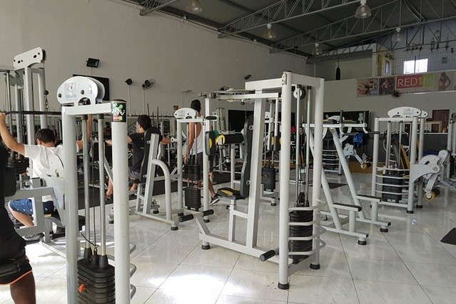 Red Fit Academia