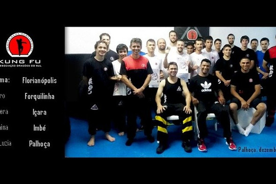 Imagem 1 da galeria do parceiro Associação Dragões Do Sul Kung Fu Passa Vinte
