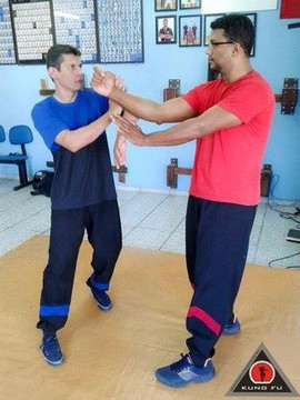 Imagem 3 da galeria do parceiro Associação Dragões Do Sul Kung Fu Centro