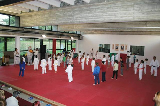 Immagine 3 dalla galleria del partner PRO PATRIA JUDO