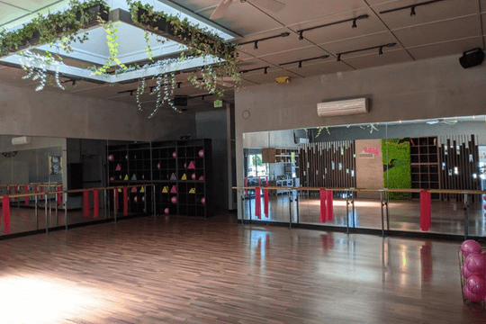 Image 1 from Wild & The Barre partner gallery