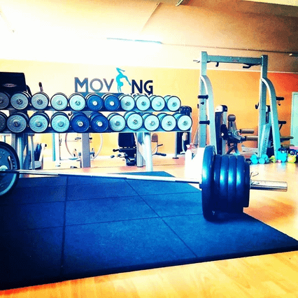 Moving Body