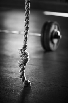 Imagem 2 da galeria do parceiro Cross Box Steel Bulls