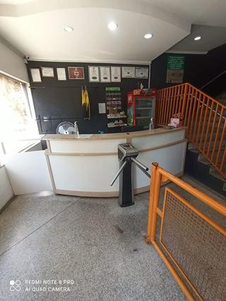 Habitus - Américo Brasiliense