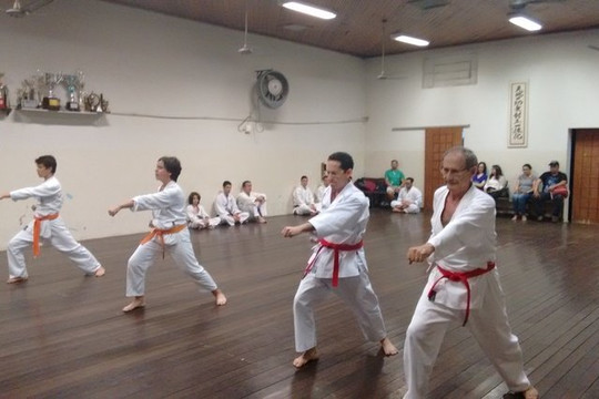 Imagem 3 da galeria do parceiro Academia Muryokan Shotokan