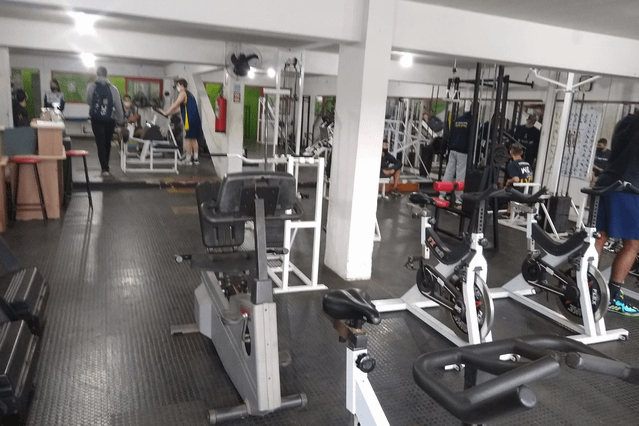 Academia Black Gold