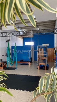 Imagem 3 da galeria do parceiro Luana Scapolon Pilates