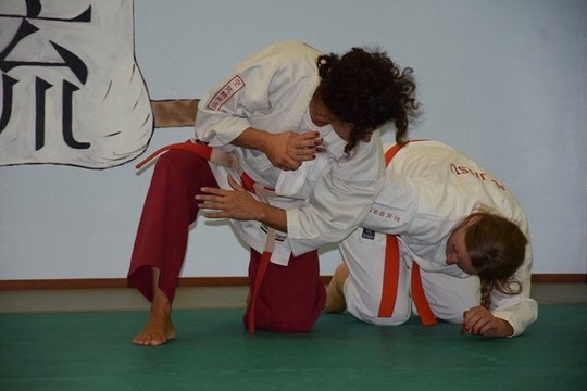 Immagine 2 dalla galleria del partner Palestra Bushido