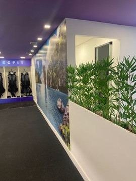 Imagem 3 da galeria do parceiro Tecfit - Perdizes