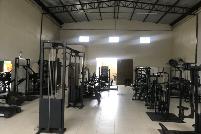 Alfa Academia