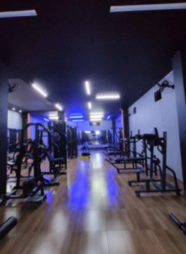 Imagem 2 da galeria do parceiro Bear Fit