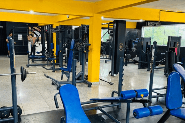 Alta Performance