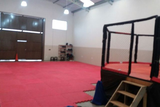 Imagem 1 da galeria do parceiro Barra Fight Team