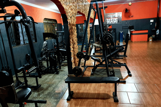 Imagem 2 da galeria do parceiro Freddy Fitness