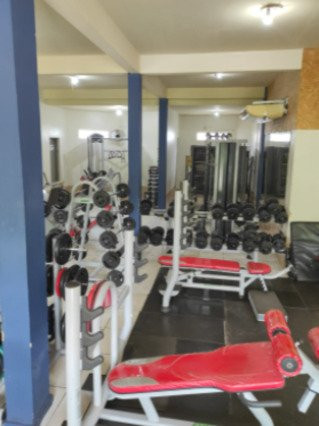 F3 Fit Prime