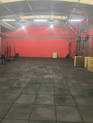 Box Arenna 11