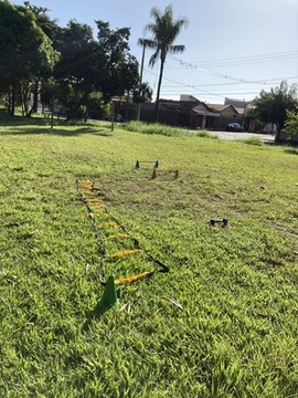 Imagem 1 da galeria do parceiro Albctreinamentos