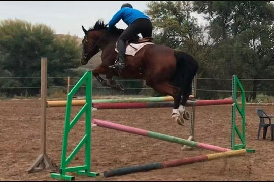 Imagen 3 de la galería del partner Club hípico Tramontana