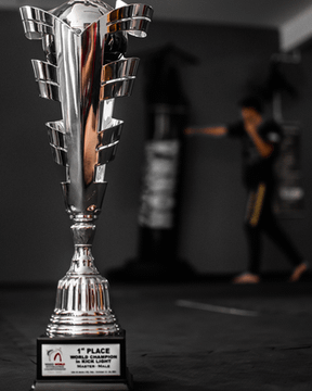 Imagem 3 da galeria do parceiro Centro De Treinamento Showtime Kickbxoing