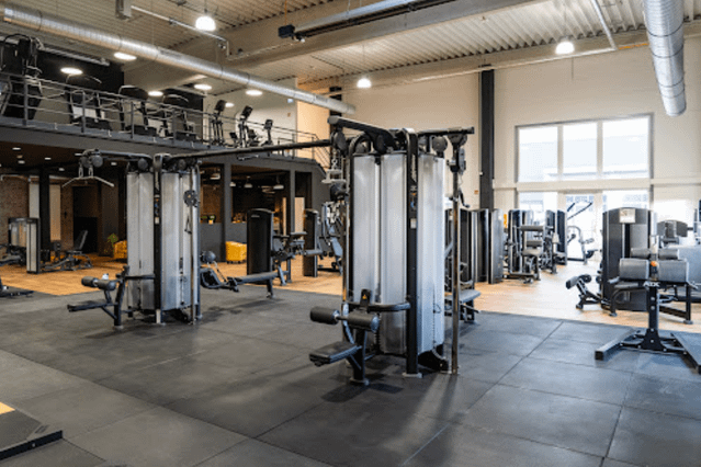 ananas gym