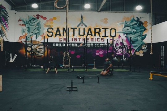 Imagen 1 de la galería del partner Santuario Calisthenics