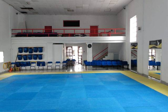 Imagen 3 de la galería del partner Tollan TKD El Carmen