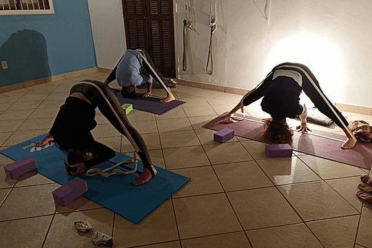 Imagem 3 da galeria do parceiro Casa Florescer