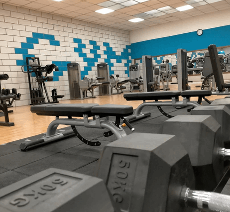 Power Gym asd