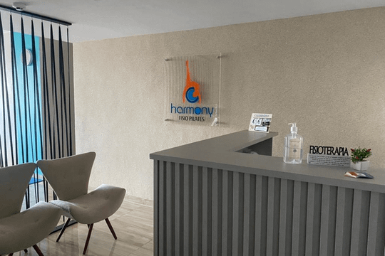 Imagem 2 da galeria do parceiro Harmony Fisio Pilates