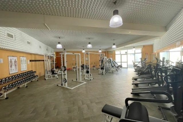 Alpha Gym