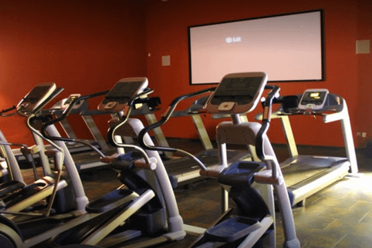 Image 3 from Gold's Gym Harlingen partner gallery