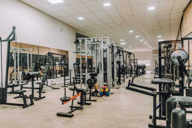 Primitive Gym